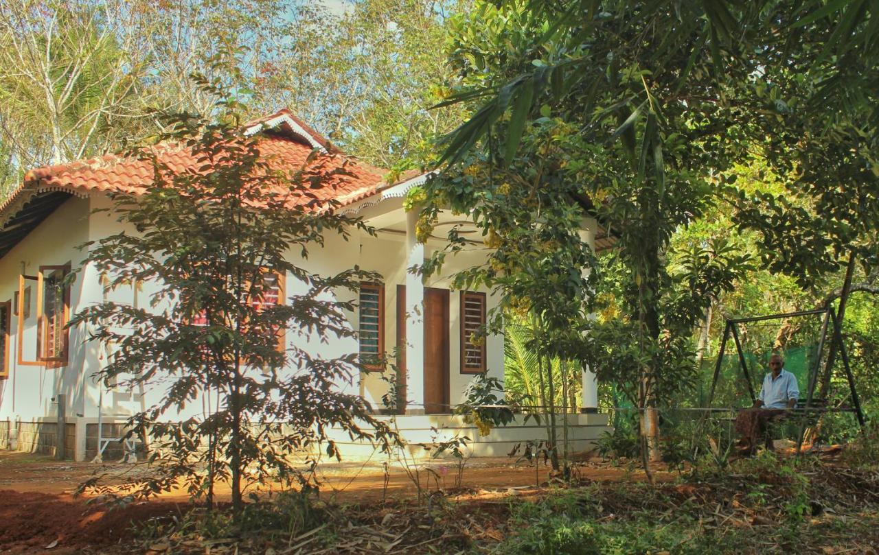 마난타바디 Wayanad Days 빌라 외부 사진