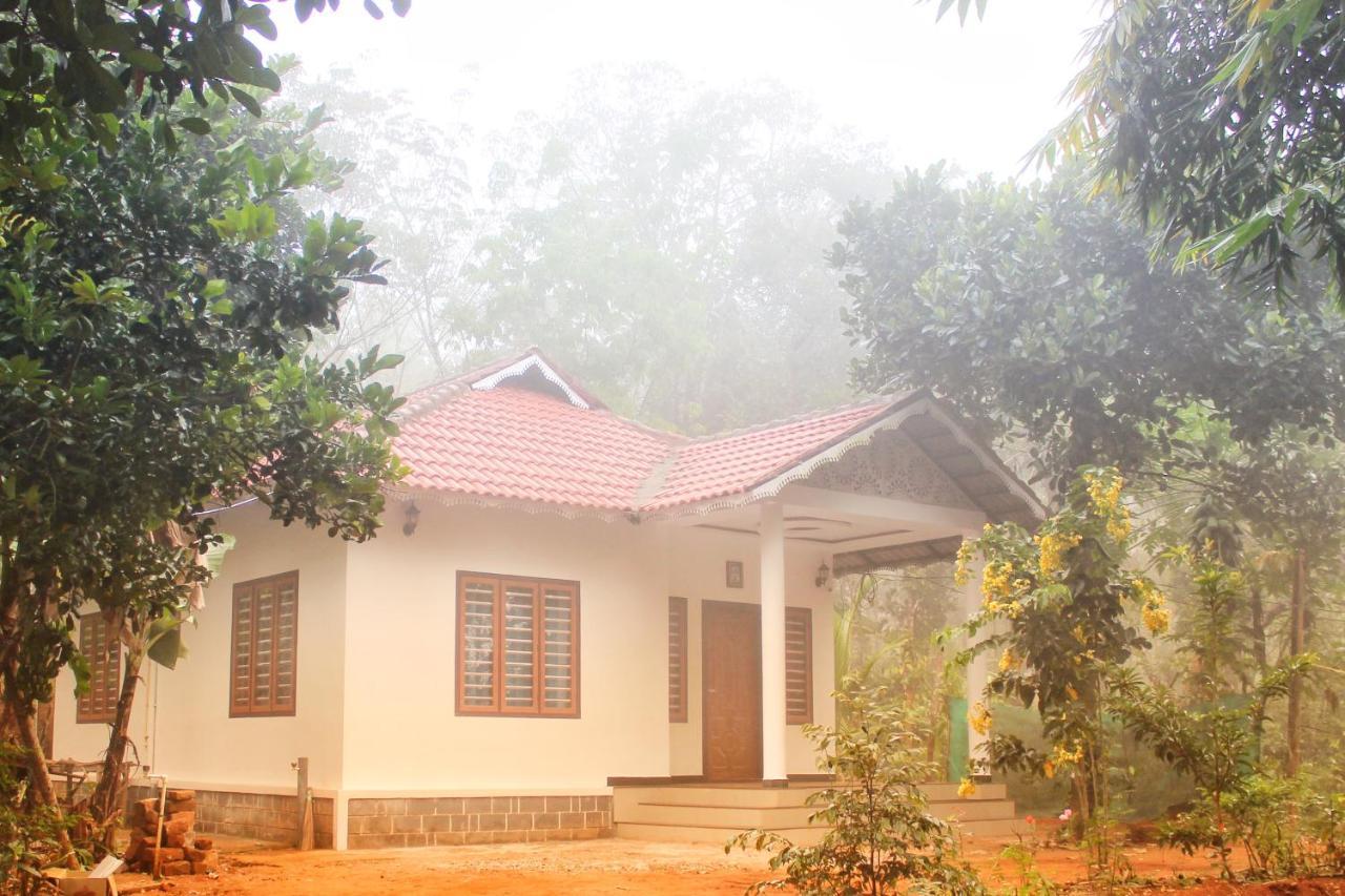 마난타바디 Wayanad Days 빌라 외부 사진
