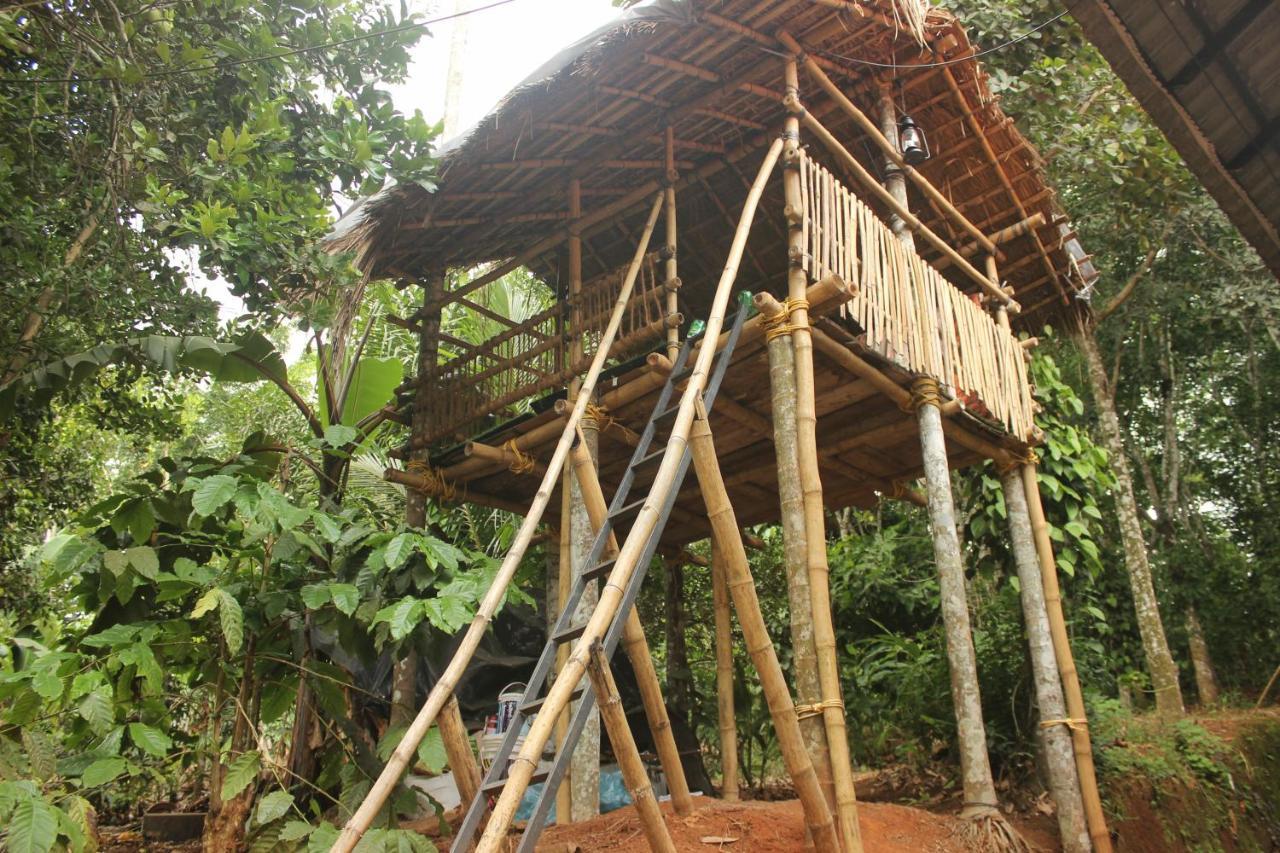 마난타바디 Wayanad Days 빌라 외부 사진