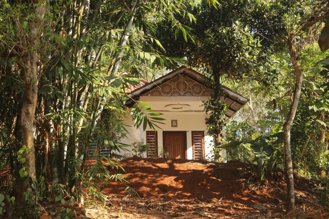 마난타바디 Wayanad Days 빌라 외부 사진