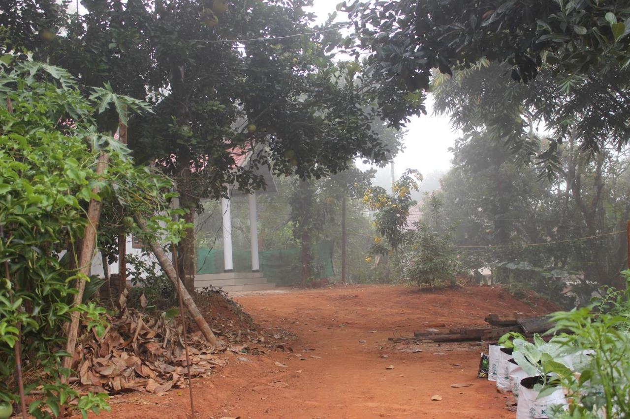 마난타바디 Wayanad Days 빌라 외부 사진